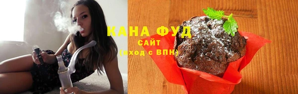гашик Мегион
