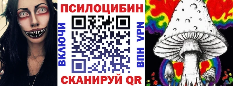 OMG маркетплейс  Усть-Джегута  Псилоцибиновые грибы Cubensis 